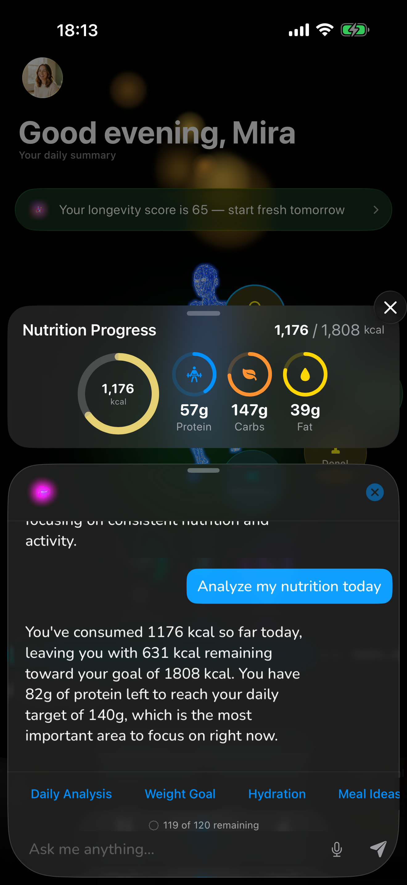 Liv — Chat with nutrient progress and daily analysis