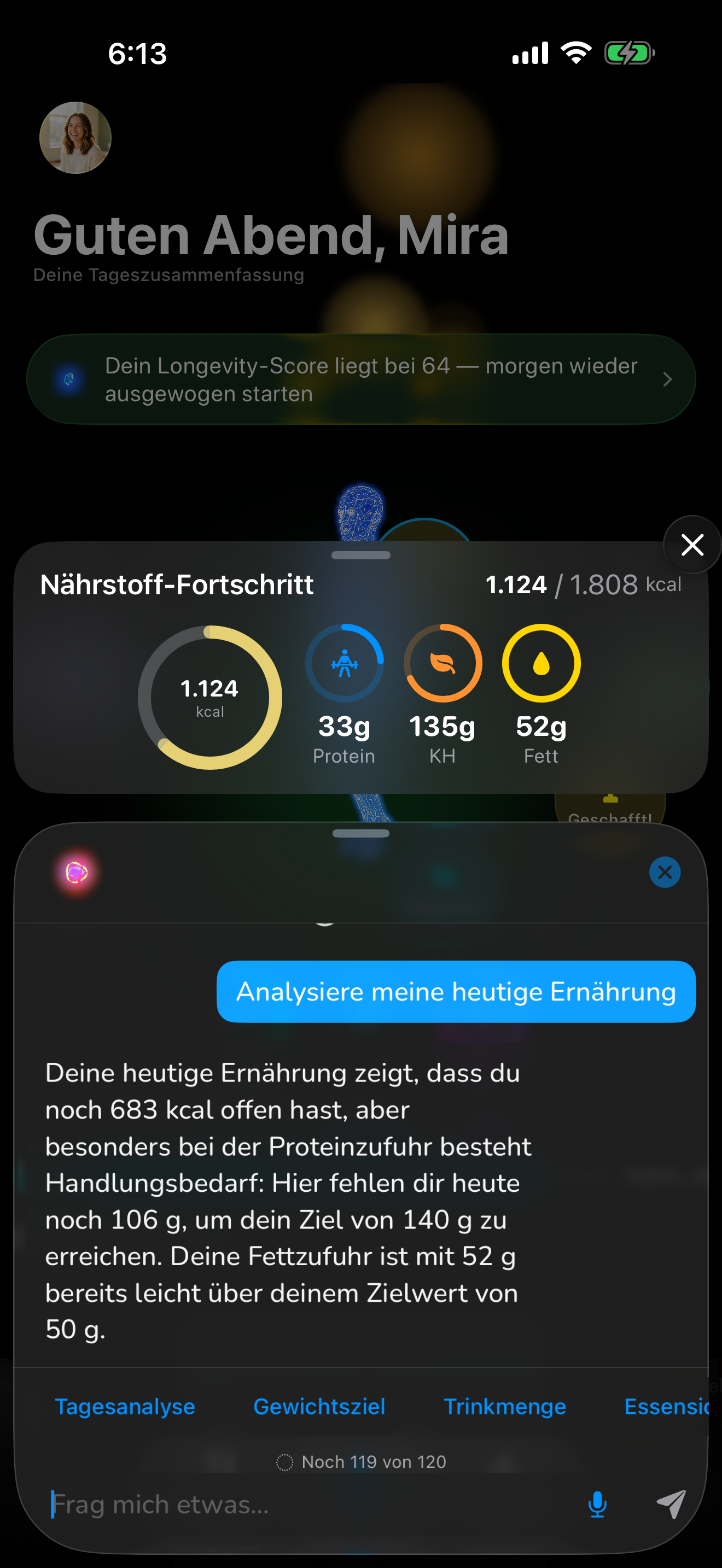 Liv — Chat mit Nährstoff-Fortschritt und Tagesanalyse