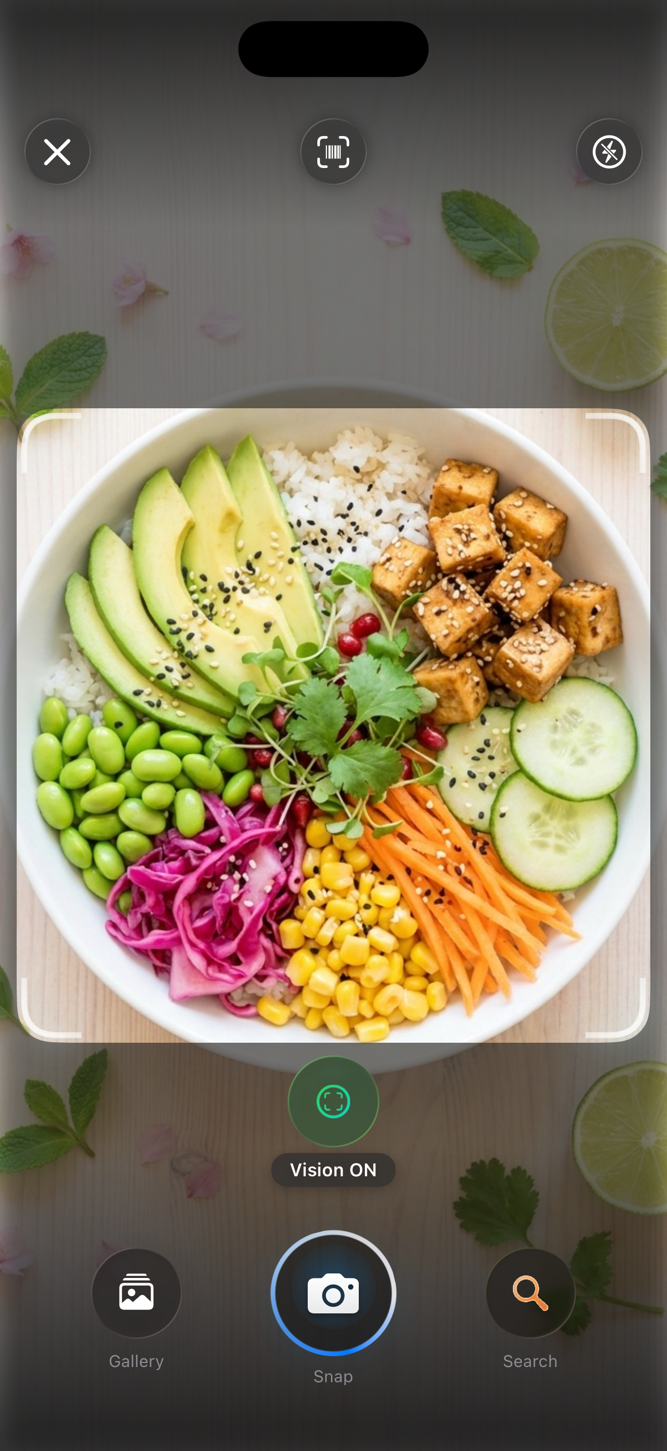 Kivaia — Camera with Vision recognition on a poke bowl plate